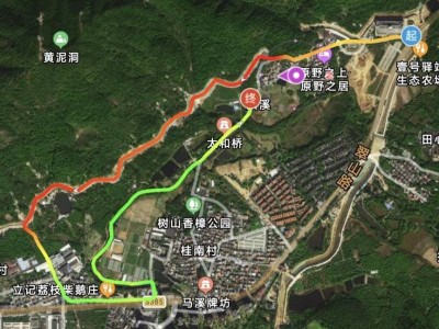 2026中山第三届家庭迷你马拉松比赛时间