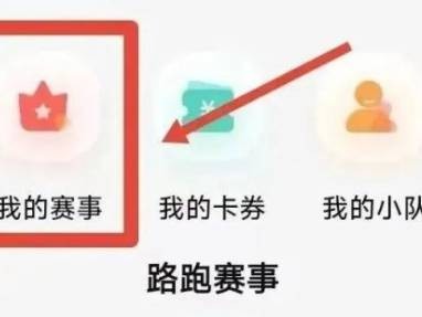 芜湖2026马拉松参赛号查询通道