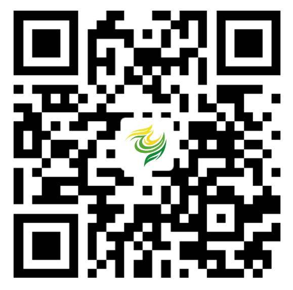 2025澄迈半程马拉松领物须知（时间+地点+注意事项）（6）