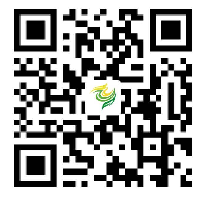 2025澄迈半程马拉松领物须知（时间+地点+注意事项）（7）