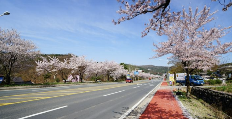 2026年庆州樱花马拉松(赛事规程)（2）