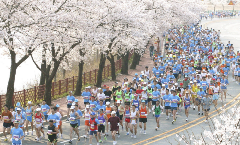 2026年庆州樱花马拉松(赛事规程)（3）