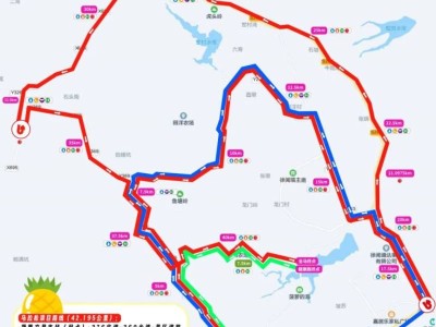 2025湛江徐闻马拉松线路图