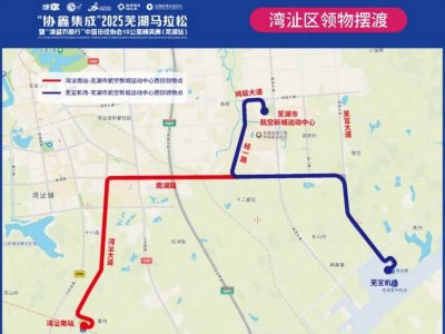 2025芜湖马拉松领物摆渡车路线