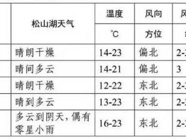 2025东莞松山湖科学城半程马拉松天气预报（最新）