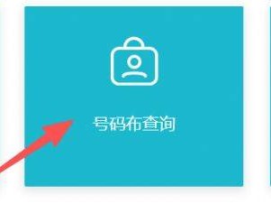 2025年南宁马拉松参赛号查询官网网址入口
