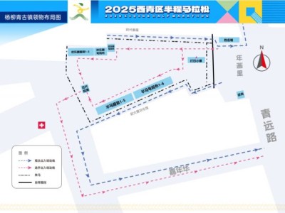 2025天津西青半程马拉松领物须知