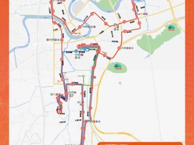 2024台州马拉松期间部分公交线路调整及停运