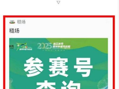 2025漳州半程马拉松参赛号查询步骤