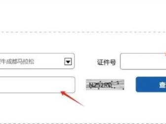 2024成都马拉松参赛号码查询时间+入口+步骤