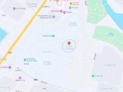 2025王力宏武汉演唱会活动攻略(购票+观演)