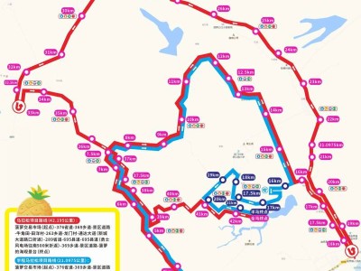 2026徐闻马拉松赛事期间交通管制