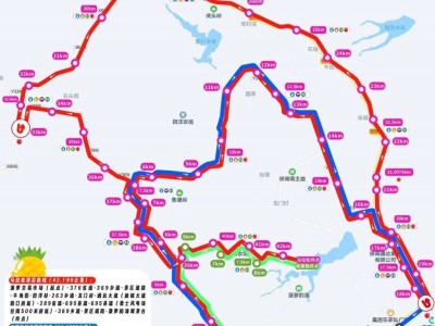 2026徐闻马拉松比赛线路图