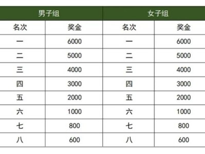 2025湛江徐闻马拉松比赛奖励多少钱