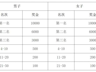 2024济宁太白湖半程马拉松奖金多少？