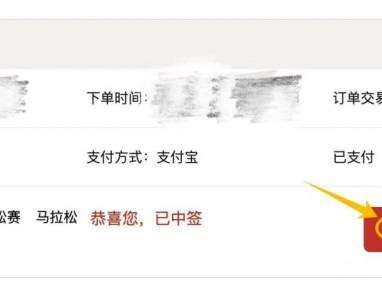2024年广州马拉松赛参赛号码怎么查询（附查询流程）
