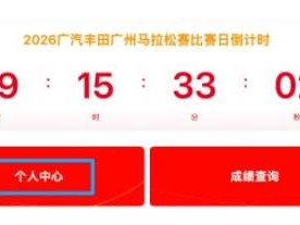 2026年广州马拉松退赛退费申请时间及方式