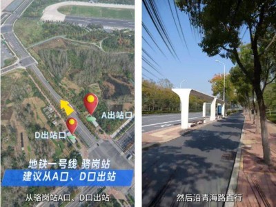 2024合肥马拉松检录怎么去(附具体路线)