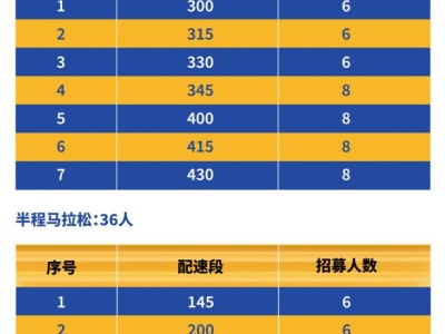 2024中国马拉松精英赛急救跑者招募报名时间+要求