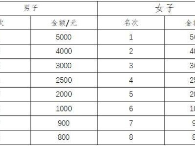2025东莞松山湖科学城半程马拉松奖金多少钱？