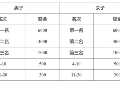 2025汶上半程马拉松奖金标准