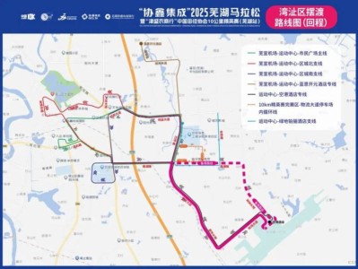 2025芜湖马拉松湾沚区摆渡路线(返程)