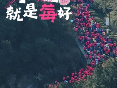 2025南京溧水半程马拉松最新消息