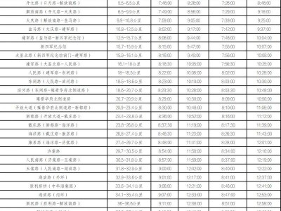 2025盐城马拉松赛期间对部分道路采取交通管制