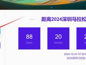 2024年深圳马拉松团体比赛报名指南(条件+时间+费用+入口)