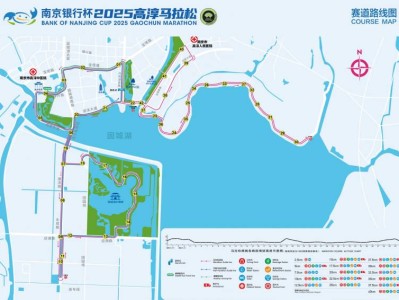 2025高淳马拉松赛道路线图