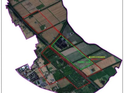 2025南通如皋村级马拉松路线一览