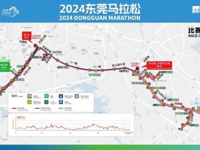 2024东莞马拉松报名费用是多少钱?