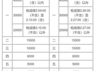 宜昌马拉松2024奖励办法