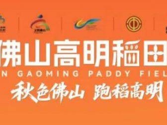 2025高明稻田马拉松什么时候开始报名?