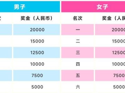 2026北京（花马）大兴半程马拉松照片在哪下载（附官网入口）