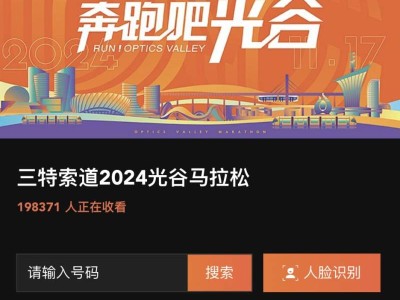 光谷马拉松比赛选手照片查询系统官网入口2024