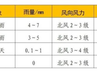 启迪药业2024衡阳马拉松比赛那天天气怎么样?