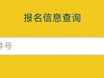 2025黄海森林马拉松半程马拉松证件号查询