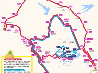 2026徐闻马拉松比赛路线优化