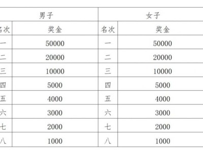 2026深圳马拉松奖金标准（名次奖+破纪录奖）