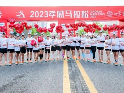 2024孝感马拉松:官方配速员招募(超靓官兔,等你领航)