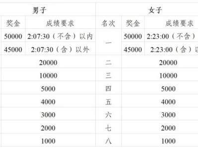 2024广州马拉松奖金