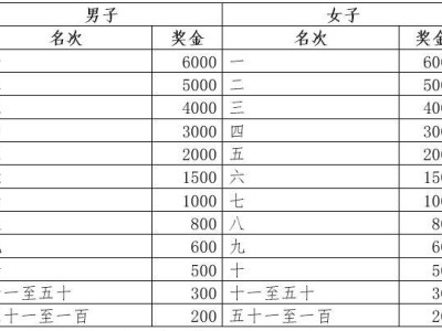 2026济宁马拉松奖金标准