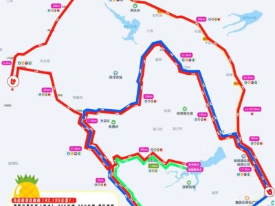 2025徐闻马拉松赛举办期间实行交通管理措施