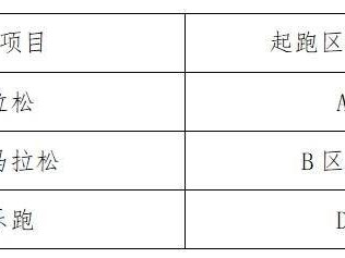 2025南通启东首届张謇马拉松有存取包服务吗?