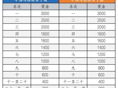 2025天津欢乐东丽湖半程马拉松奖励办法