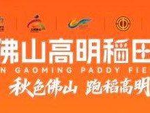 2025高明稻田马拉松报名费多少钱？