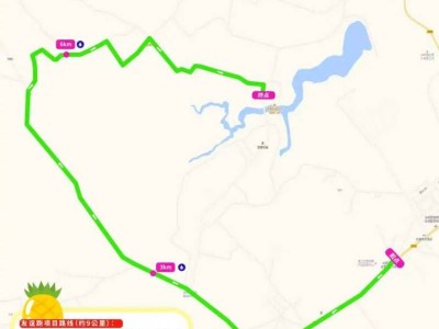 2026徐闻马拉松友谊跑赛事举办期间交通管制