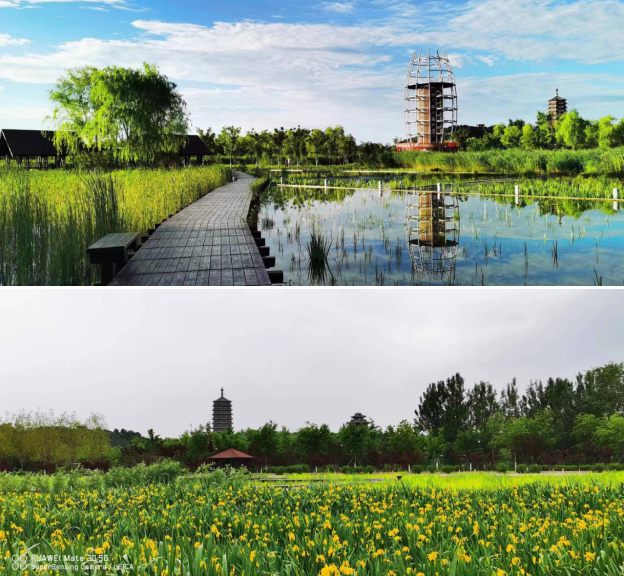 2024京西赏秋嘉年华(赛事规程)（7）