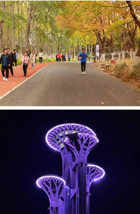 锐进四季2024奥森中秋长跑嘉年华(赛事规程)（8）